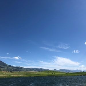 Meet your Posher, Annie